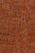 ACAJOU DE CUBA