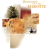 MAROTTE